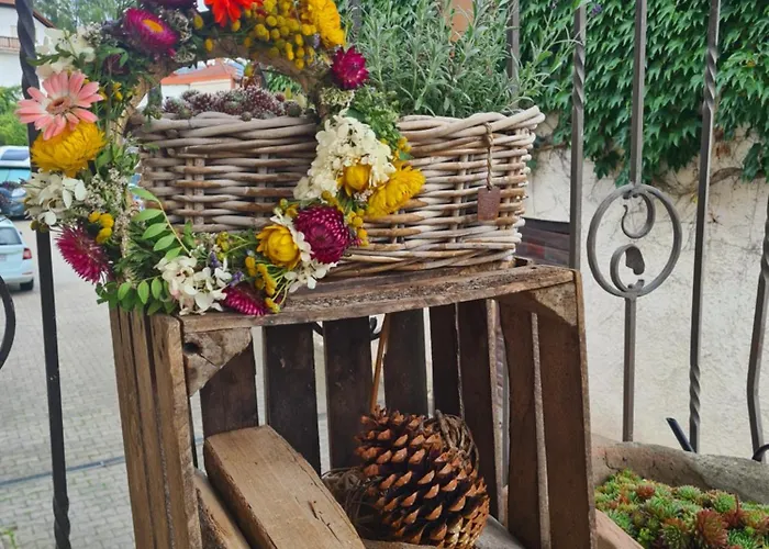 Apartment Im Wiesengrund Steinau Marborn Steinau an der Straße